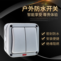 Outdoor Ming dress waterproof switch 2 open double control switch power switch with indicator light outdoor waterproof switch box