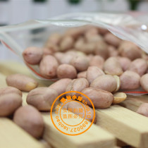 Chaoshan specialty Jiexi Mian Lake Xingji salty crispy peanut kernel red clothing salty peanut rice porridge Bean