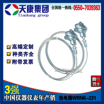 Anhui Tiankang Group armored thermocouple K type WRNK-231 probe temperature sensor 