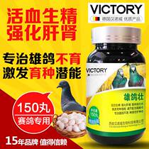 Pigeon medicine Hannover male pigeon Zhuang treatment male pigeon sterility stimulation breeding blood circulation and essence strengthening liver and kidney products