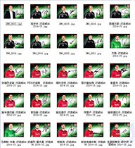 Hannover 96 2014-15 season autographed official card set of 40 cards