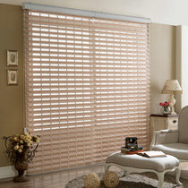 Spring South Korean ladders belt Shangri-La curtain roller curtain curtain soft screen Venetian blinds TD-021