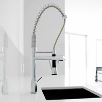 Germany Steinberg kitchen faucet 100 1480