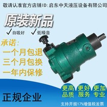  10 16 25 32 40 63 80 100 160 250 400SCY14-1B Qidong axial piston oil pump