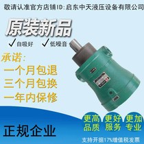 2 5MCY 5MCY 10MCY 25MCY 63MCY 80MCY 160MCY14-1B Qidong plunger pump