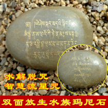 Double-Sided wisdom Meteor spell water to free the curse to release Mani Stone