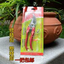 Gardening scissors garden tools pruning shears Greening scissors pruning rough branches fruit trees scissors tree scissors