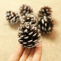Natural Pinecone Pinecone Christmas Pinecone DIY Accessories Natural Pinecone Groceries Decorative Style Accessories 6 packs