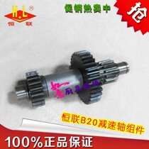 Henglian B20G Lige B20 commercial food mixer egg beater original accessories into a set of reduction gear shaft