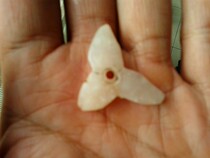 The bag is old and white jade orchid one-for-one.