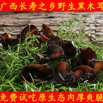 Super wild black fungus Guilin Gongcheng specialty dry goods Super northeast Changbai Mountain small Bowl ear autumn ear