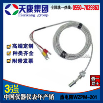 Anhui Tiankang Group Power Station Thermal Resistance End Face Thermal Resistance WZPM-201 Manufacturer Direct Sales 