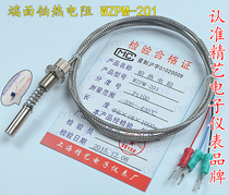  End face thermal resistance Pt100 End face platinum thermal resistance temperature sensor probe WZPM-201