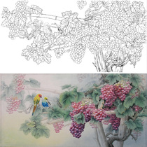  Gongbi painting white sketch background draft Sun Xizhi grape parrot 66*132 physical white paper print draft with color 069T