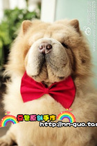 Original design handmade large dog large dog pine lion big dog bow custom