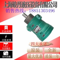 2 5MCY 10MCY 25MCY 63MCY 80MCY 160MCY 250MCY 14-1B Shanghai piston pump