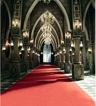 Wedding theme photography background cloth photo studio photo background paper Palace interior background European architectural background 3874