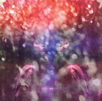 After Shake Spot) vinyl CD Maybeshewill Fair Youth LP record genuine