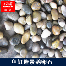 Concarnation natural small grain rainfed stone Wucolorful stone cobblestone landscaped stone water pebble fish fish aquarium fish tank