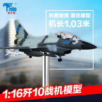 Terbo 1:16 J-10 J-11 Jia 7 Flying Leopard 5 Fighter Model Large Exhibition Air Show Aircraft