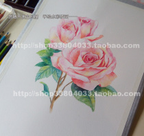 Pure Hand Painting Watercolor Hand Painting Watercolor Illustration Water Soluble Pencil Painting Hand Painted Rose