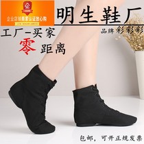 Dance shoes Adult children ballet shoes Flat high-top Jazz boots Soft-soled practice shoes Womens cat claw dance shoes