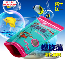 Inch gold spirulina color feed Peacock fighting fish aquarium small hot with lantern family ornamental fish to increase food Special