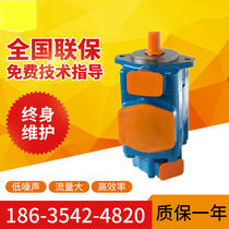 Supply American SAMEK company 2520VQ series double vane pump