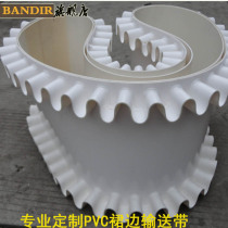 Professional custom PV skirt conveyor belt white food grade conveyor belt belt conveyor belt assembly line belt