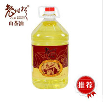 Zhejiang old tree root camellia oil edible oil Wild camellia oil tea seed oil affordable family clothing 5L promotion