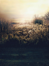 Photo studio plate womens square costume photo photography background studio costume theme photo background cloth