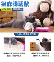 Fashion Cat Toy Funny Cat Mouse Toy Cat Scraper Toy Spring Mouse Cat Pet Toy Supplies