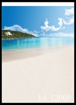 New photo studio theme background wedding photography background cloth Korean theme photo painting background 12060