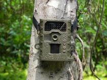Special Nighthawk camera (SG660 upgrade products) SG-008(940nm) wild animal infrared camera