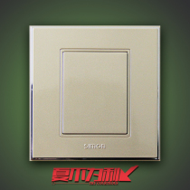 Simon Simon switch 56 champagne color 86 type blank panel whiteboard switch socket V51000-56