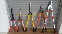 Green Fence Cut Fence Cut for winter Youth cut coarse branches Scissors Lawn Scissors Landscaped Vigorous Shen cut and cut branches Greening cuts