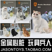 Mr. Z Zhu 1 6 emulated animal eighth bounty of exotic short stuffed cat Garfy cat (spot)