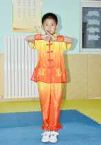 Childrens martial arts clothing for boys and girls Kung fu childrens practice martial arts clothing short-sleeved summer student performance performance clothes new