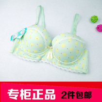 2 pieces of Bai Li gathered girl bra thin development period soft steel ring student underwear B1249