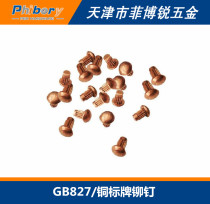 GB827 red copper rivet knurled rivet nameplate Special 2*3 4 5 6 8