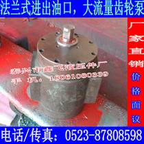TXLB large flow gear pump XTCB-B500 XCB gear oil pump DCB hydraulic pump CB-BM500 txcb