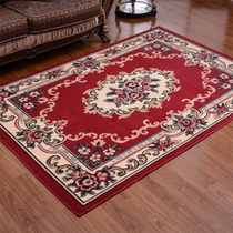 Household floor mat carpet doormat living room entrance mat modern simple bedroom vacuum full blanket