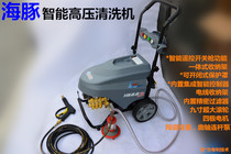 Taiwan Bogao Dolphin intelligent remote control high pressure cleaning machine car wash shop car wash machine commercial self-priming brush pump