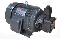 Hydraulic motor Hydraulic motor 0 75KW-VP15 Pump 1 5KW -- VP202 2KW-VP30 and other motors