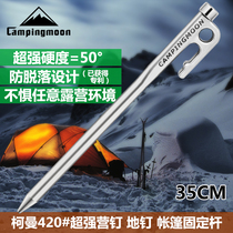 Outdoor Stainless Steel Battalion Nail Tent Accessories Tent Nail Canopy Shelter Canopy Fixed Accessories Texture Strong 35cm