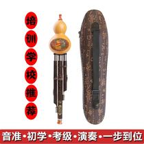 Purple Bamboo Cucurbit C Cut B Tune Beginner Beginner children beginner students adult musical instrument Hu Luise