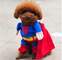 Dog Superman Dogs Clothing Summer Clothes Big Dog Superman Clothes Pet Clothes Summer Pet Supplies