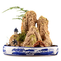 Water stone desktop ornaments absorbent stone rockery rockery original stone small office humidifier pet stone miniature on