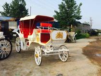  Wrought iron European-style wedding carriage convertible props film and television double-row tourist sightseeing car Wedding car dwarf horse special car