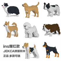 Bishon Chihuahua Fadou Rabbian Shepherd Fighting JEKCA Spling Building Blocks Dog Toys